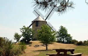 29ème rando des pins