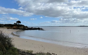 Circuit Billiers S46